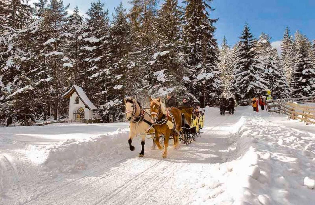 Appartmenthaus Birkenwald Seefeld in Tirol Exteriör bild