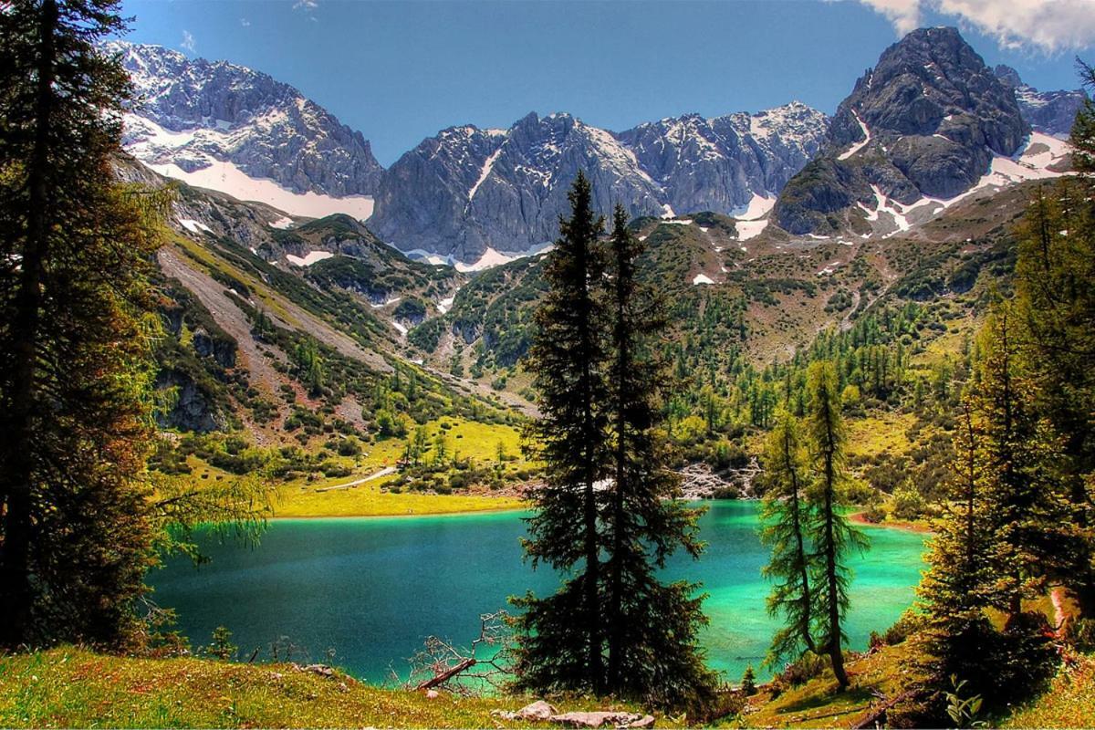 Appartmenthaus Birkenwald Seefeld in Tirol Exteriör bild