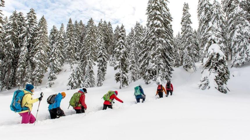 Appartmenthaus Birkenwald Seefeld in Tirol Exteriör bild